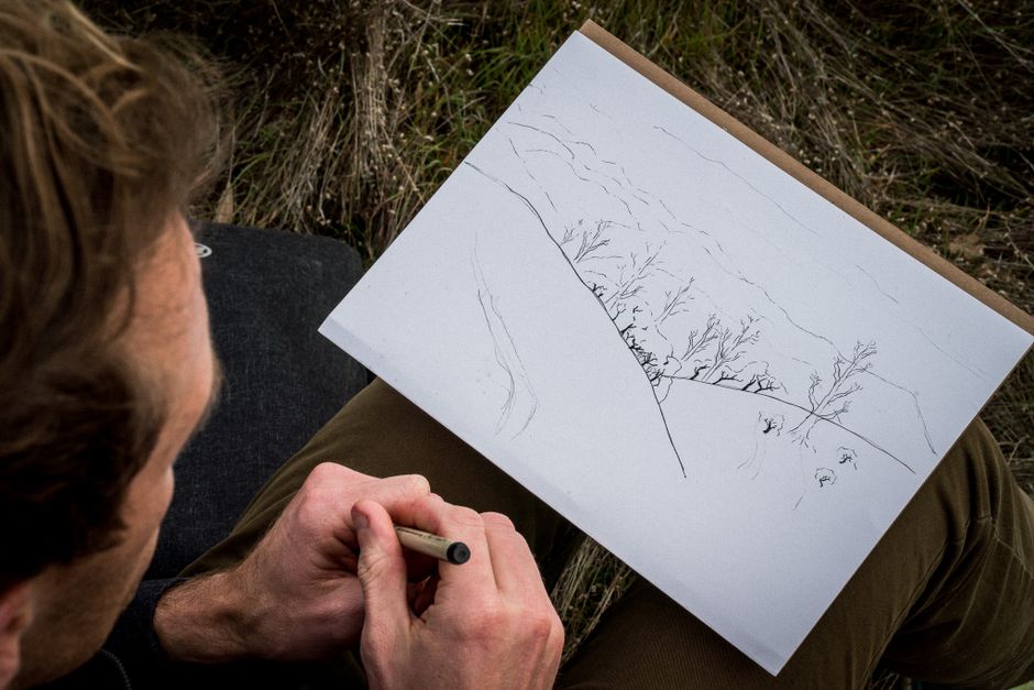 Field Sketching Birds Without Chasing Them Across the Meadow
