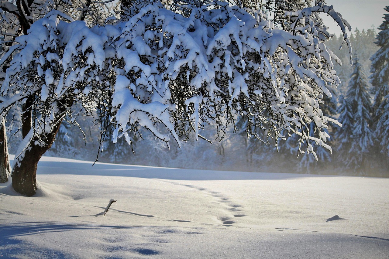 Journaling the Seasons: Why One Spot Beats a Hundred